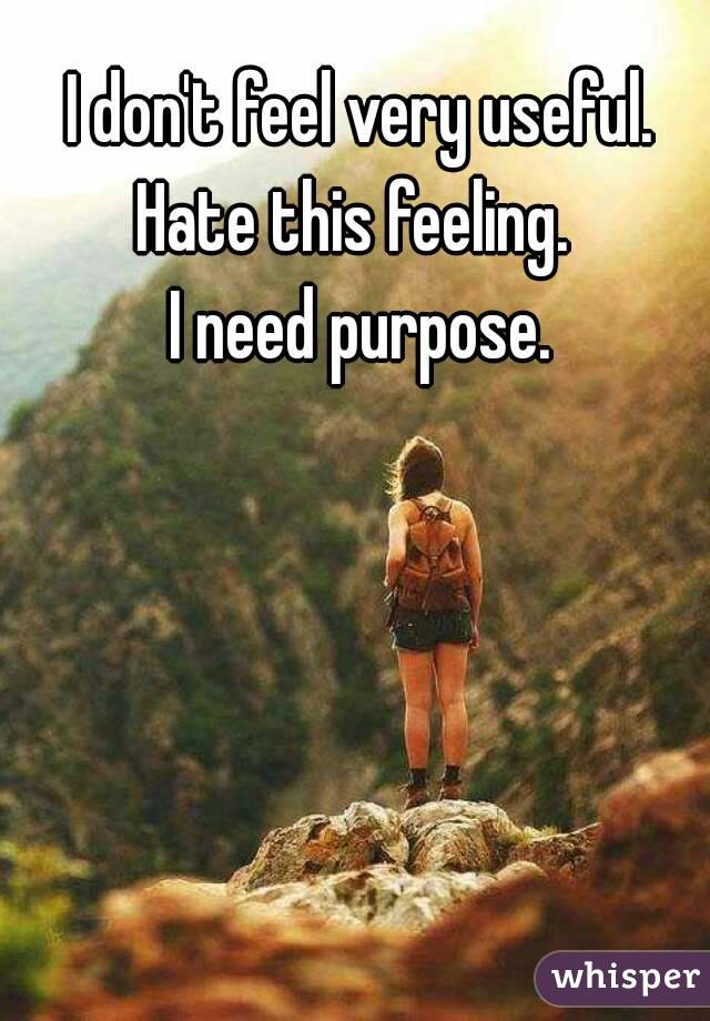 I don't feel very useful.
Hate this feeling. 
I need purpose.