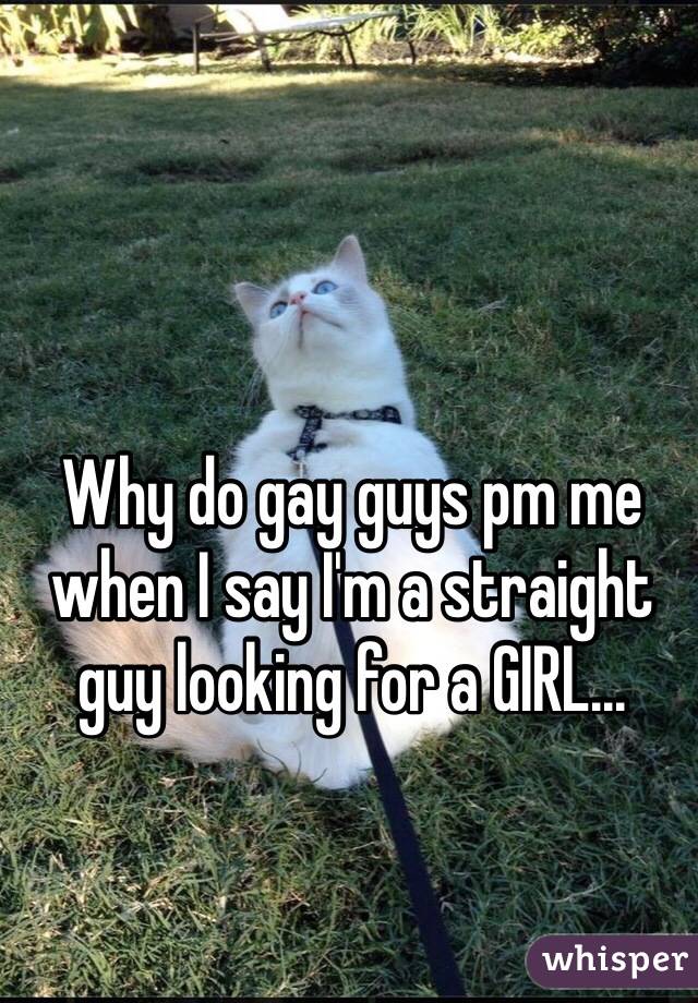 Why do gay guys pm me when I say I'm a straight guy looking for a GIRL...