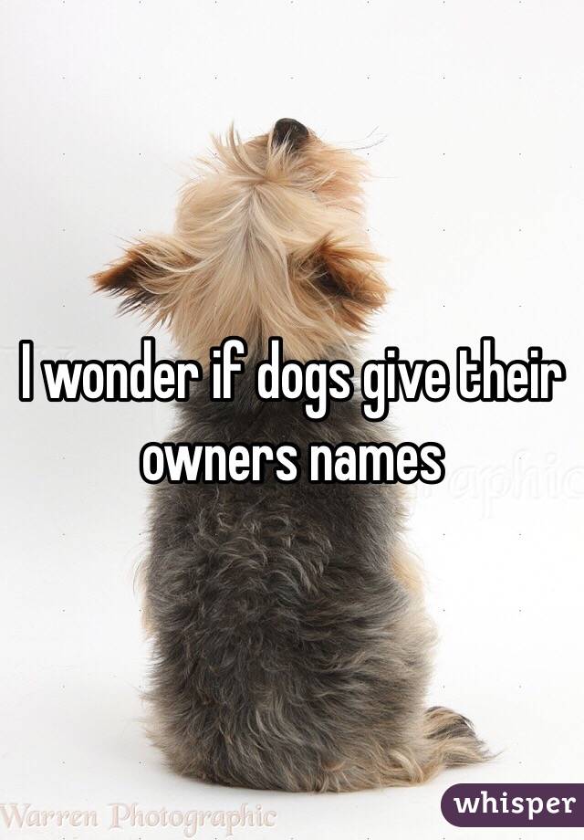 I wonder if dogs give their owners names