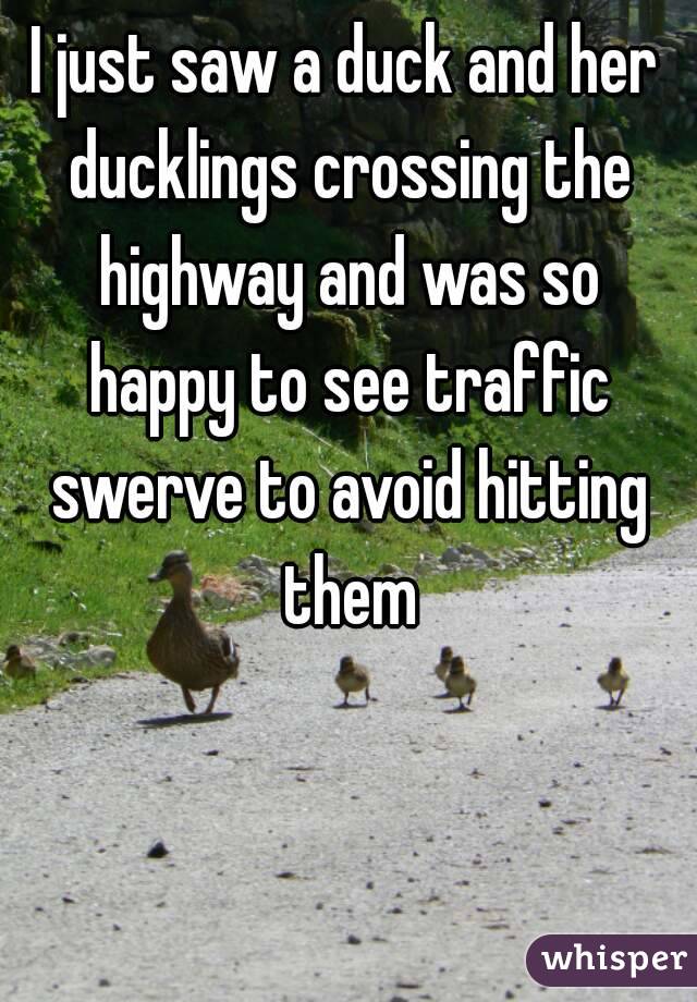 I just saw a duck and her ducklings crossing the highway and was so happy to see traffic swerve to avoid hitting them