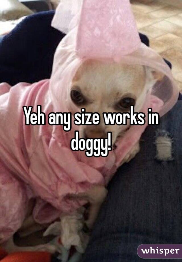 Yeh any size works in doggy!