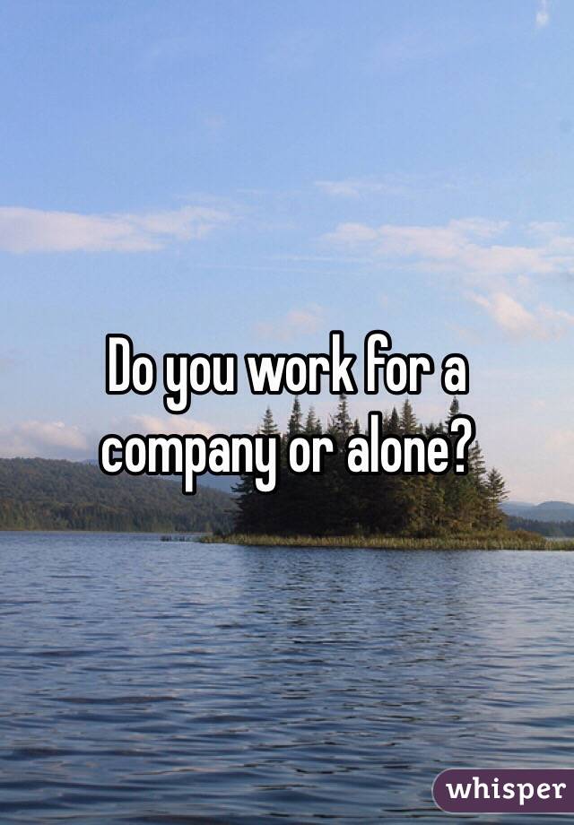 Do you work for a company or alone? 
