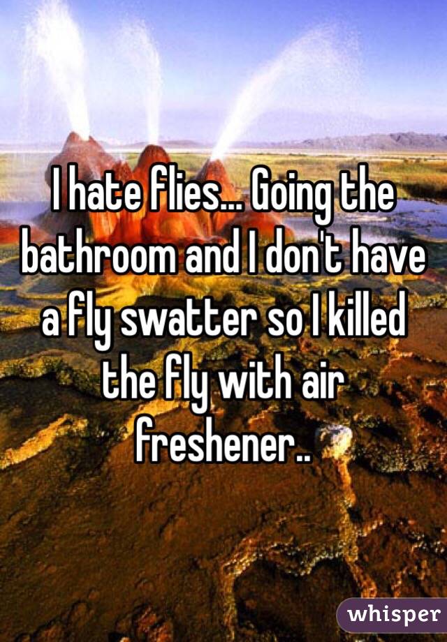I hate flies... Going the bathroom and I don't have a fly swatter so I killed the fly with air freshener..