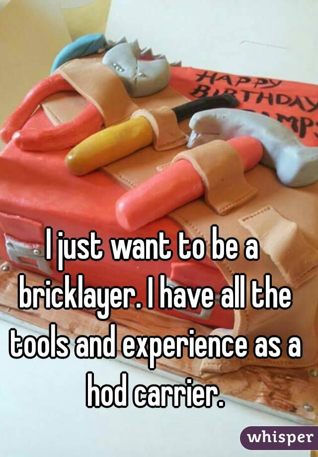 I just want to be a bricklayer. I have all the tools and experience as a hod carrier.