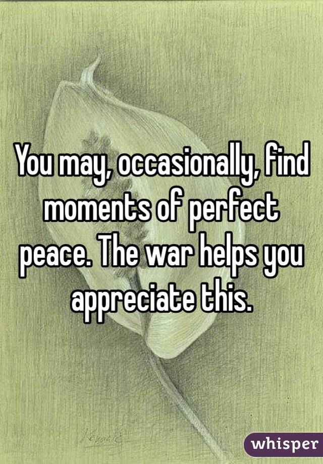 You may, occasionally, find moments of perfect peace. The war helps you appreciate this.