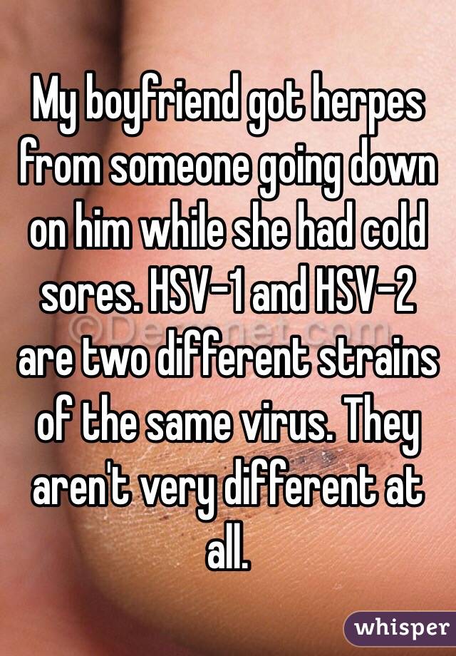 My boyfriend got herpes from someone going down on him while she had cold sores. HSV-1 and HSV-2 are two different strains of the same virus. They aren't very different at all. 