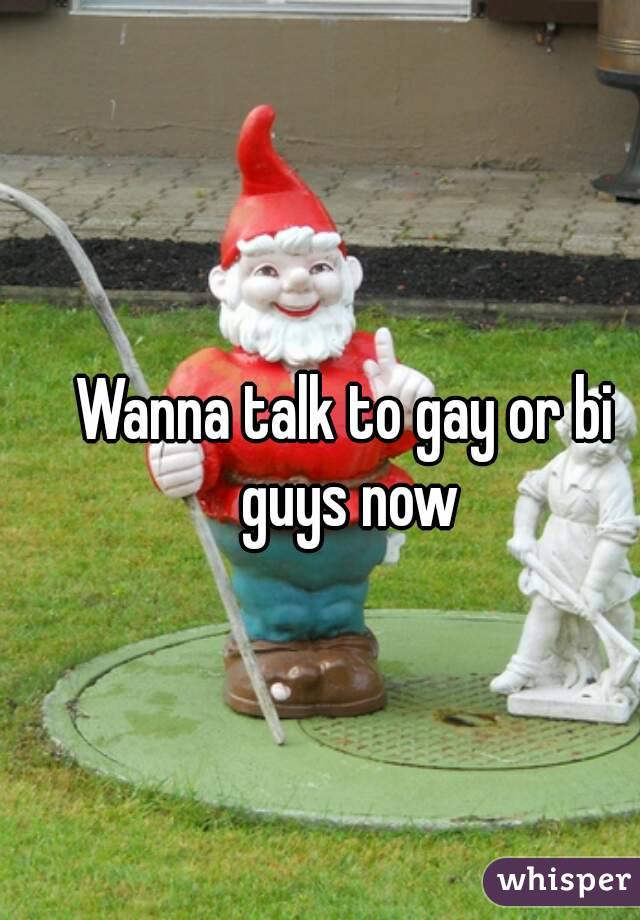 Wanna talk to gay or bi guys now