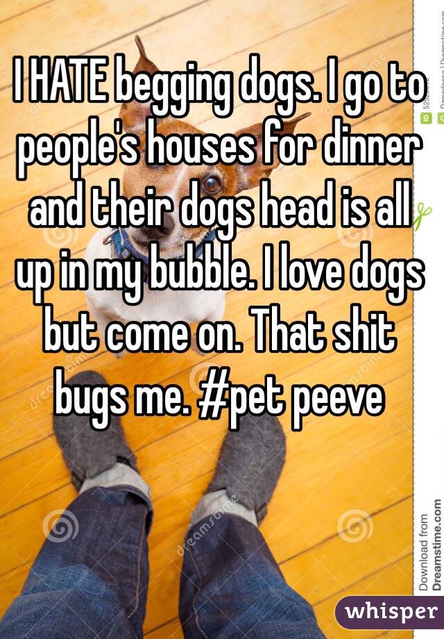 I HATE begging dogs. I go to people's houses for dinner and their dogs head is all up in my bubble. I love dogs but come on. That shit bugs me. #pet peeve