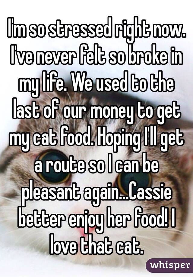 I'm so stressed right now. I've never felt so broke in my life. We used to the last of our money to get my cat food. Hoping I'll get a route so I can be pleasant again...Cassie better enjoy her food! I love that cat. 