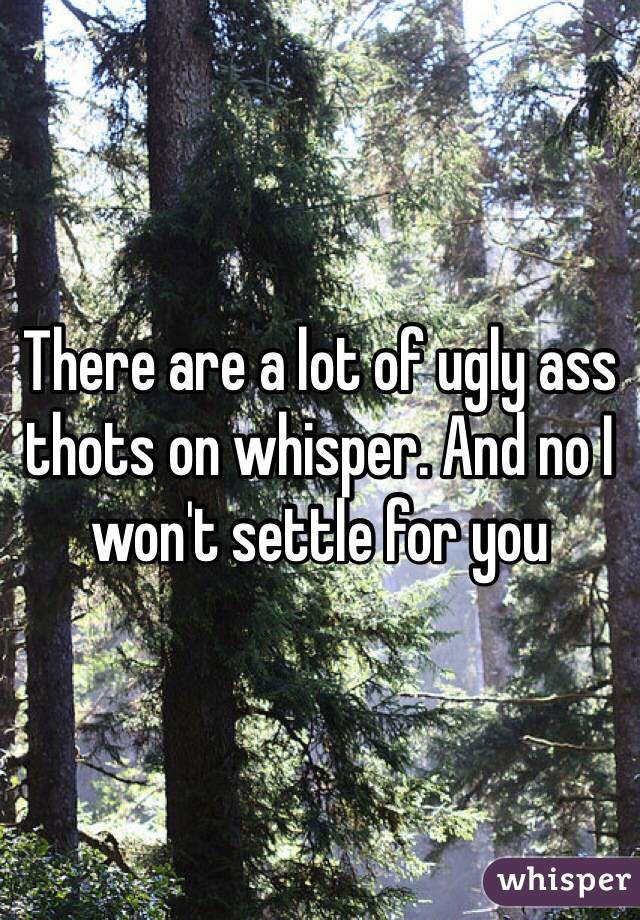 There are a lot of ugly ass thots on whisper. And no I won't settle for you
