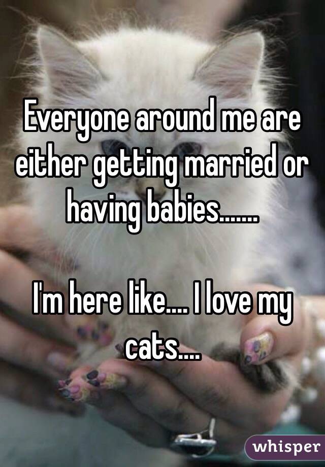 Everyone around me are either getting married or having babies.......

I'm here like.... I love my cats....