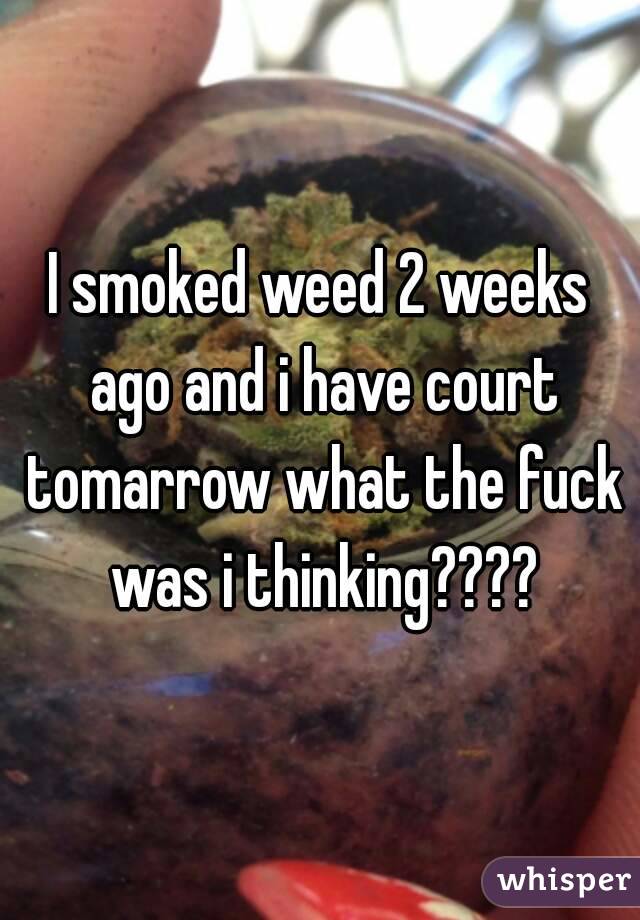 I smoked weed 2 weeks ago and i have court tomarrow what the fuck was i thinking????