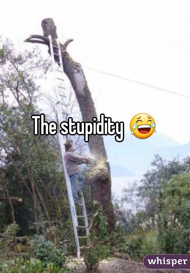 The stupidity 😂