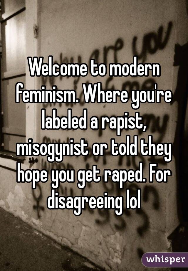 Welcome to modern feminism. Where you're labeled a rapist, misogynist or told they hope you get raped. For disagreeing lol 