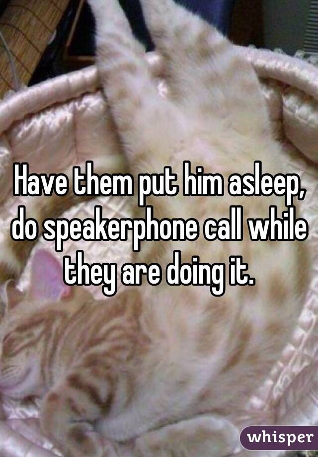 Have them put him asleep, do speakerphone call while they are doing it.