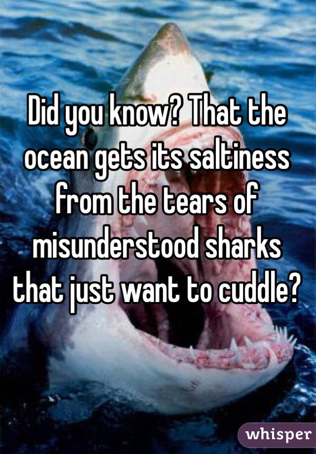 Did you know? That the ocean gets its saltiness from the tears of misunderstood sharks that just want to cuddle?