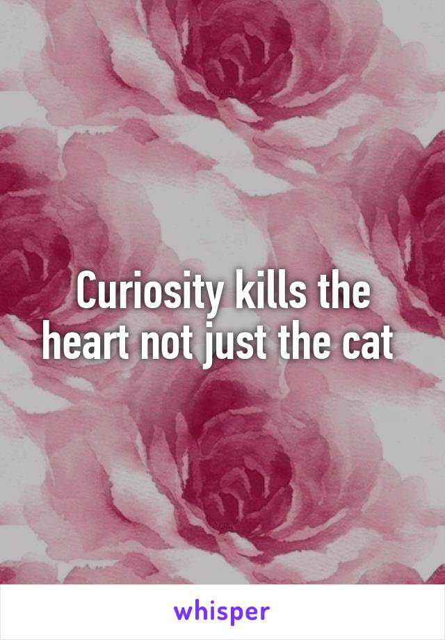 Curiosity kills the heart not just the cat 