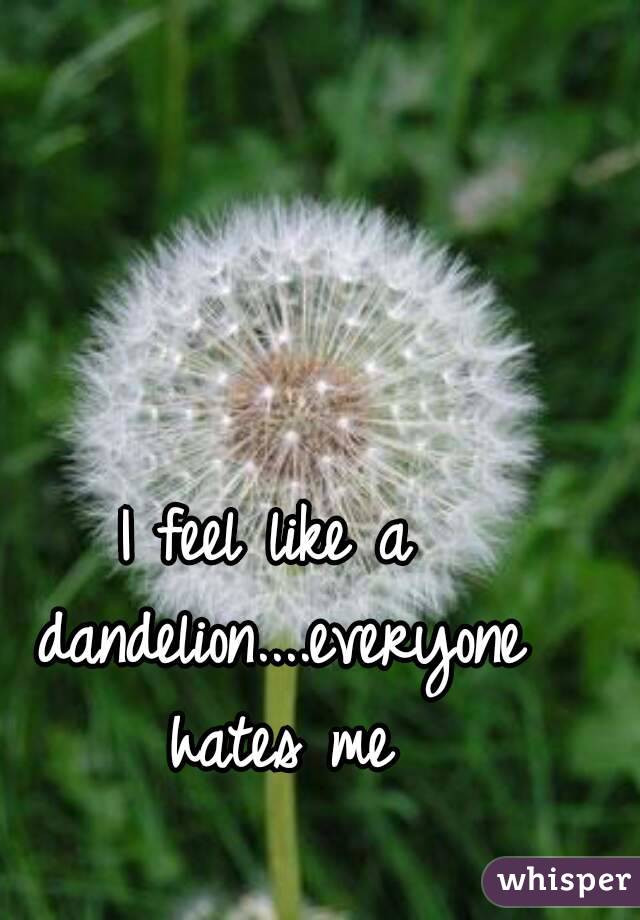 I feel like a dandelion....everyone hates me
