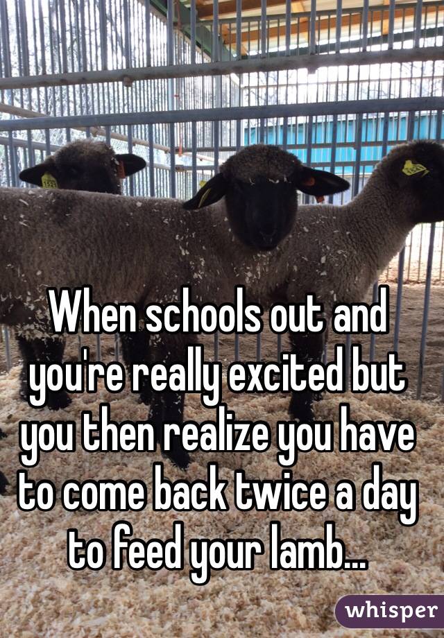 When schools out and you're really excited but you then realize you have to come back twice a day to feed your lamb...