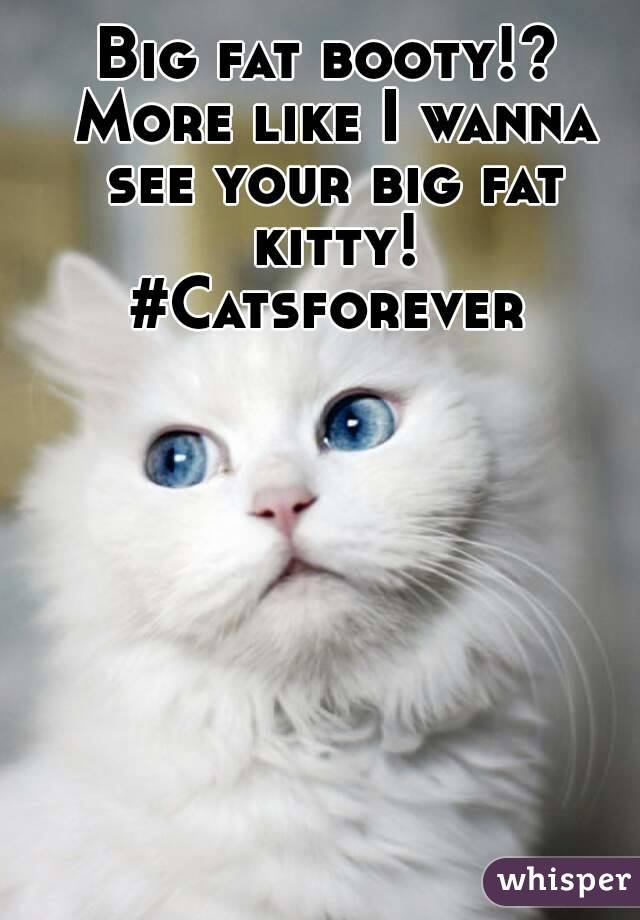 Big fat booty!? More like I wanna see your big fat kitty!
#Catsforever