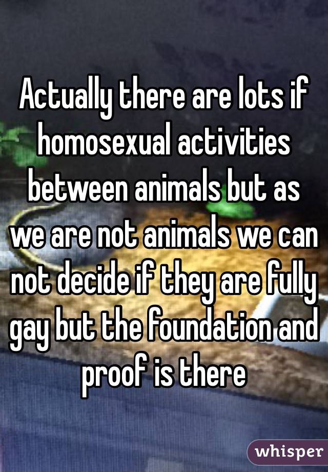 Actually there are lots if homosexual activities between animals but as we are not animals we can not decide if they are fully gay but the foundation and proof is there