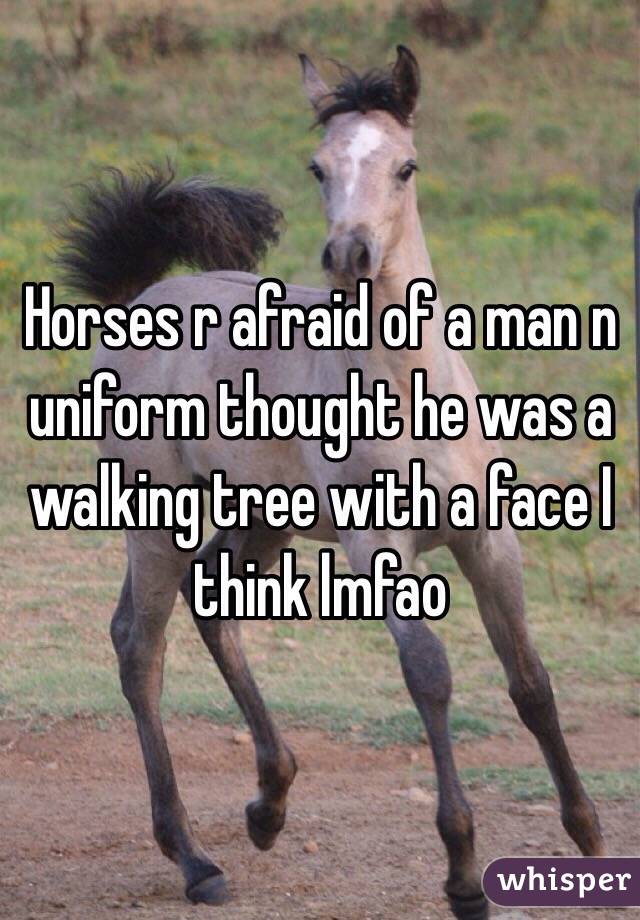 Horses r afraid of a man n uniform thought he was a walking tree with a face I think lmfao