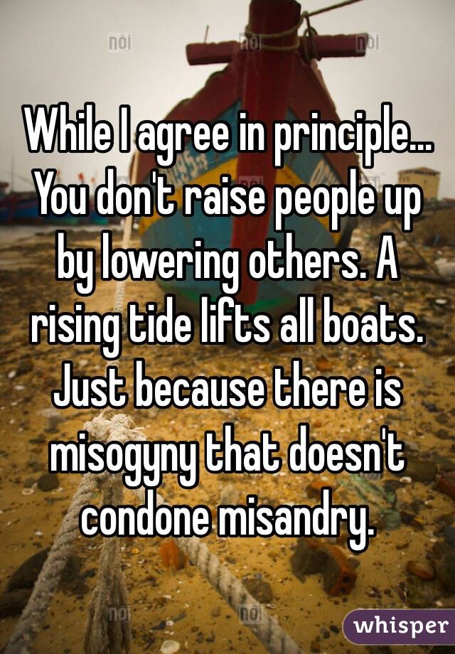 While I agree in principle... You don't raise people up by lowering others. A rising tide lifts all boats. Just because there is misogyny that doesn't condone misandry. 