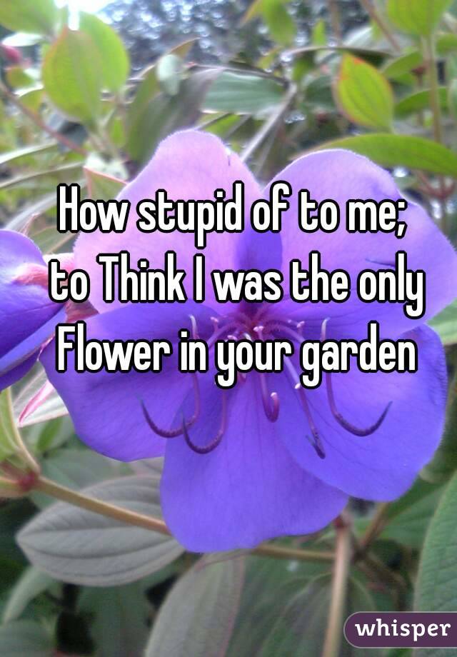 How stupid of to me; 
to Think I was the only
Flower in your garden
