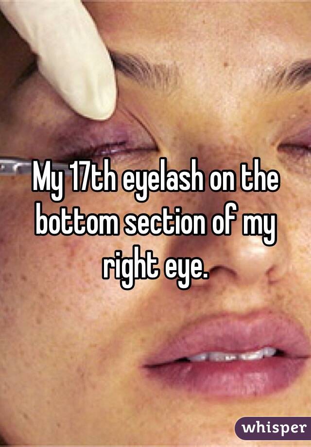 My 17th eyelash on the bottom section of my right eye.  