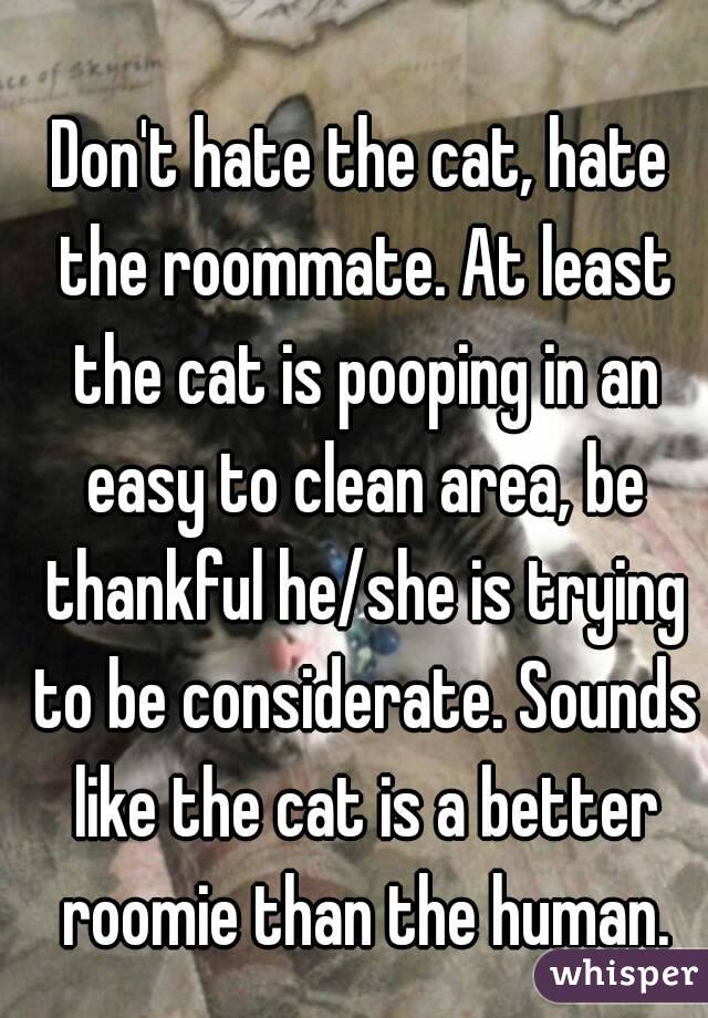 Don't hate the cat, hate the roommate. At least the cat is pooping in an easy to clean area, be thankful he/she is trying to be considerate. Sounds like the cat is a better roomie than the human.