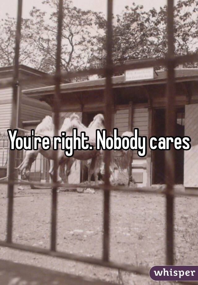 You're right. Nobody cares