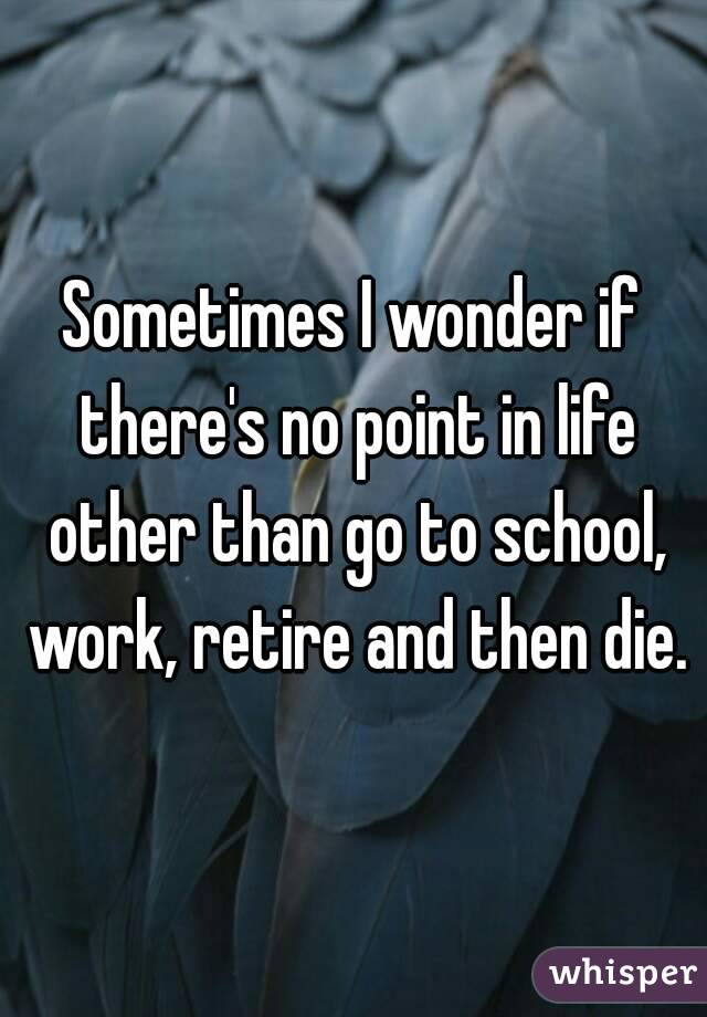 Sometimes I wonder if there's no point in life other than go to school, work, retire and then die.