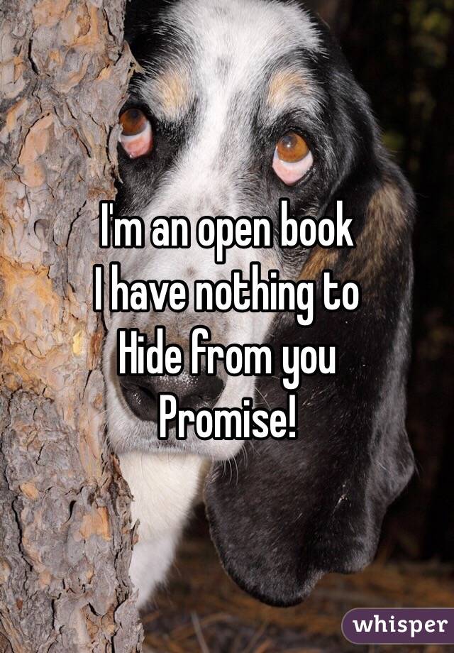 I'm an open book 
I have nothing to 
Hide from you 
Promise!
