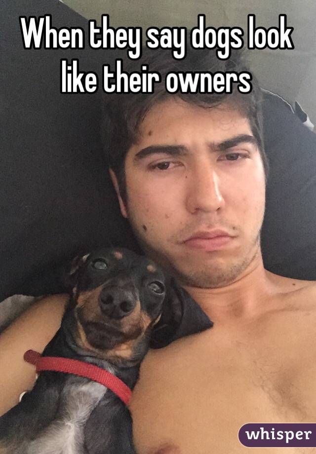 When they say dogs look like their owners