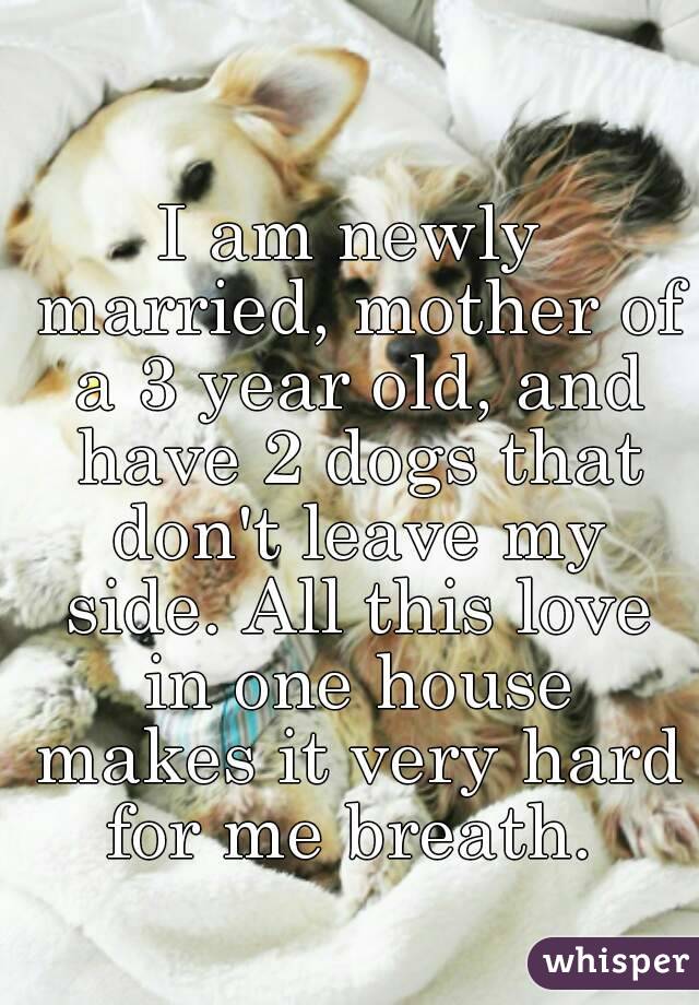 I am newly married, mother of a 3 year old, and have 2 dogs that don't leave my side. All this love in one house makes it very hard for me breath. 
