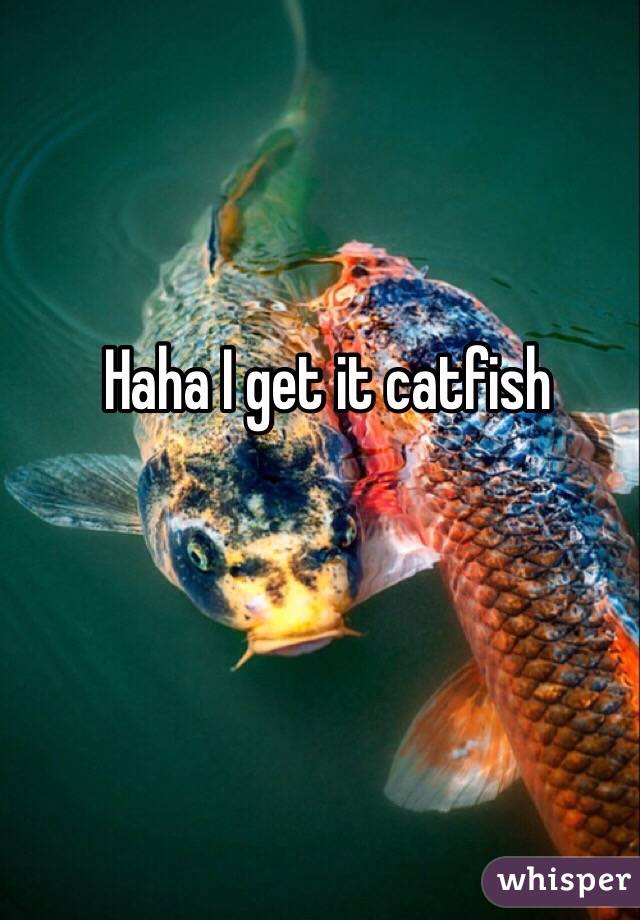 Haha I get it catfish 