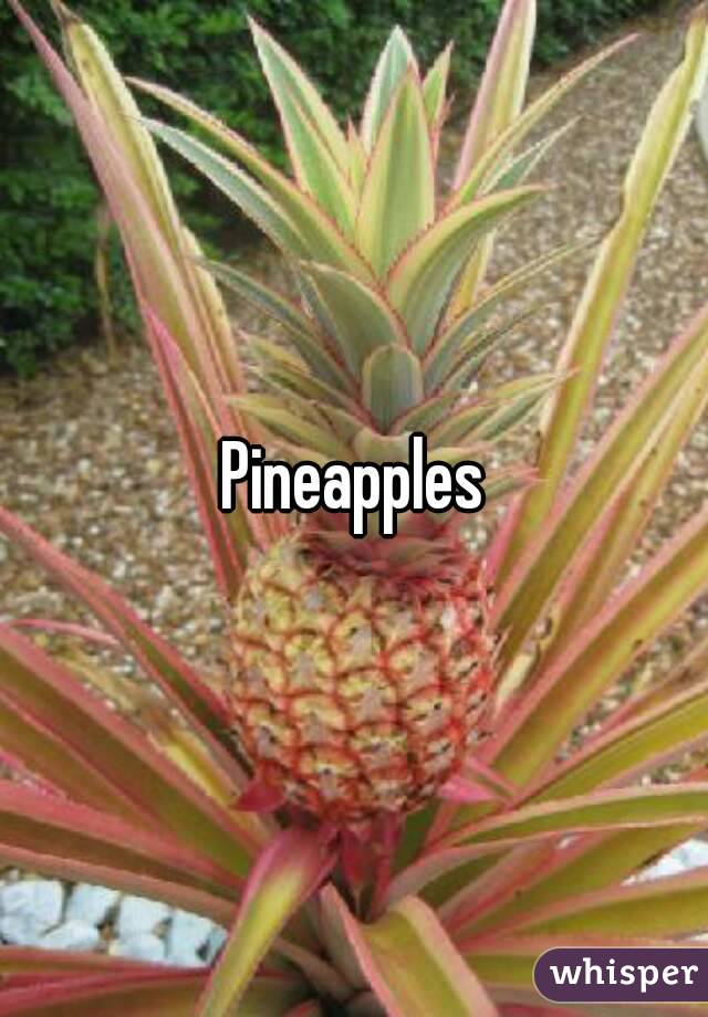 Pineapples