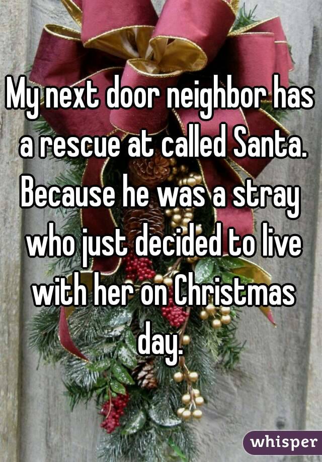 My next door neighbor has a rescue at called Santa.
Because he was a stray who just decided to live with her on Christmas day. 