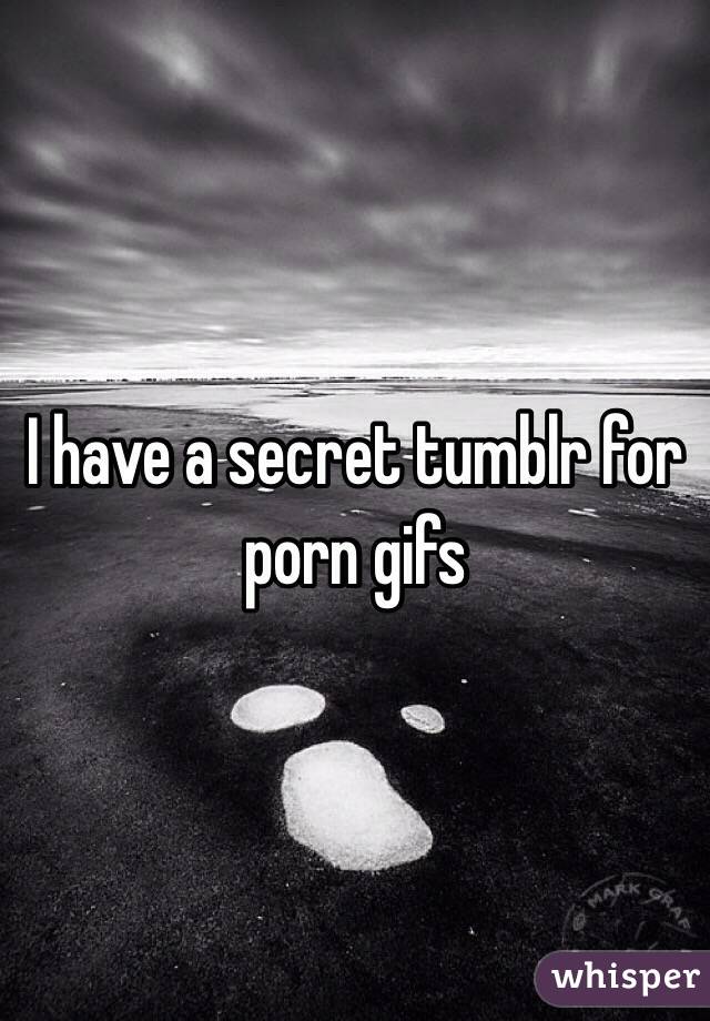 I have a secret tumblr for porn gifs 