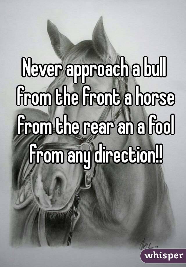 Never approach a bull from the front a horse from the rear an a fool from any direction!!