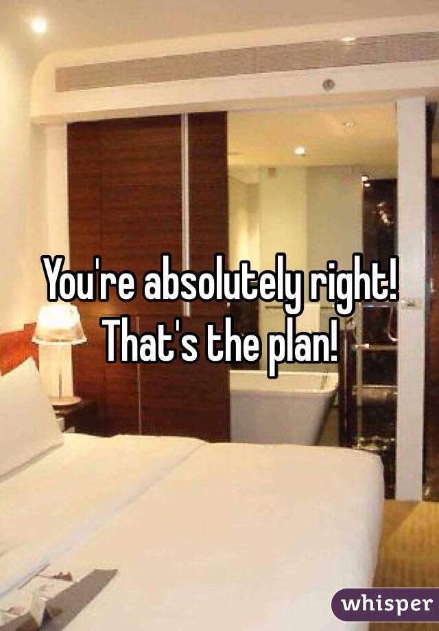 You're absolutely right! That's the plan! 