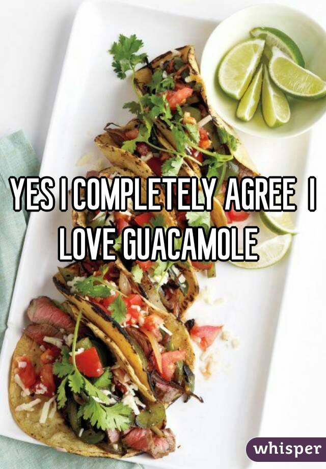 YES I COMPLETELY AGREE  I LOVE GUACAMOLE  