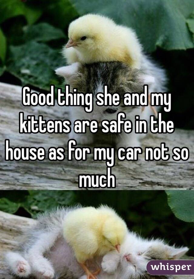 Good thing she and my kittens are safe in the house as for my car not so much 