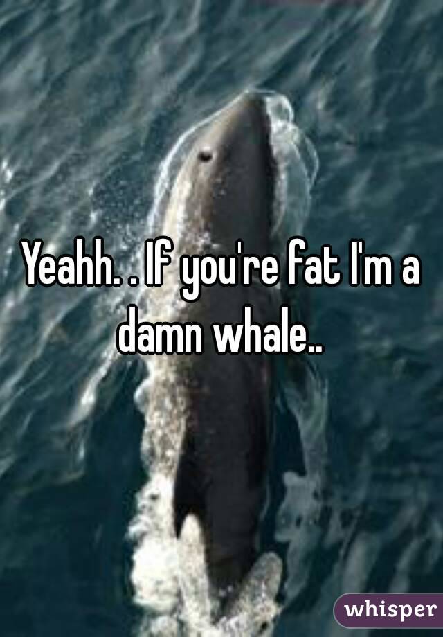 Yeahh. . If you're fat I'm a damn whale.. 