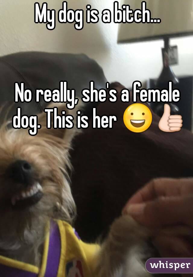 My dog is a bitch...


No really, she's a female dog. This is her ðŸ˜ƒðŸ‘�