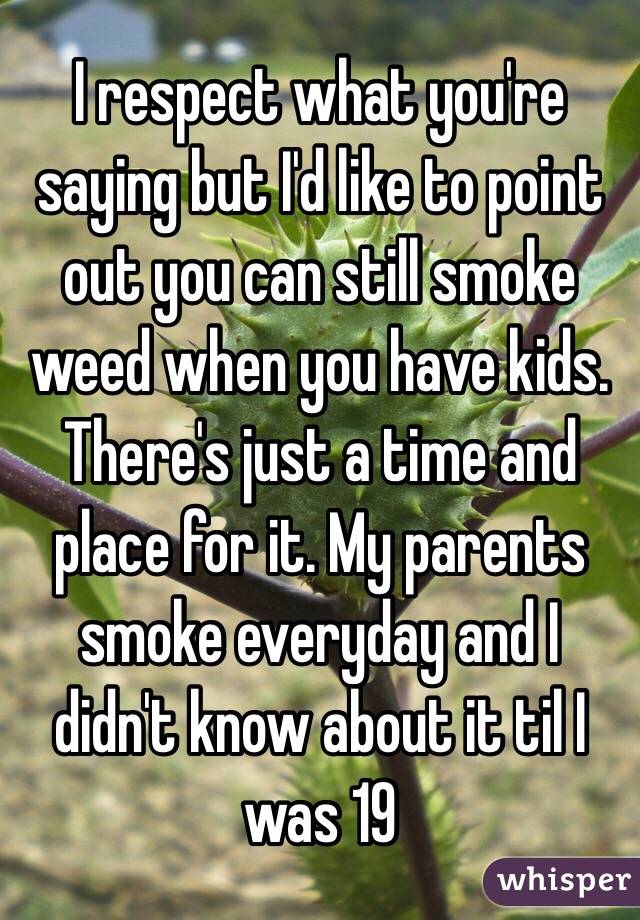 I respect what you're saying but I'd like to point out you can still smoke weed when you have kids. There's just a time and place for it. My parents smoke everyday and I didn't know about it til I was 19