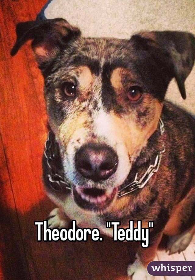 Theodore. "Teddy"