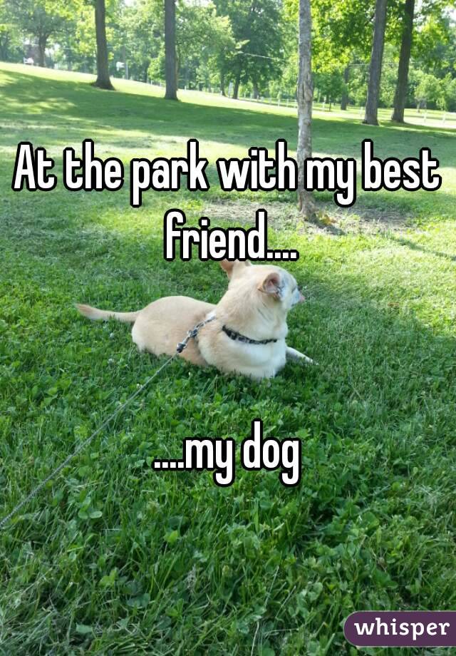 At the park with my best friend....


....my dog