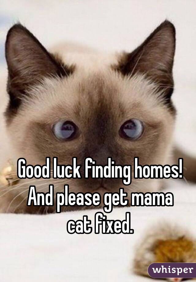 Good luck finding homes! And please get mama 
cat fixed.