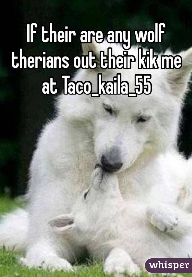 If their are any wolf therians out their kik me at Taco_kaila_55